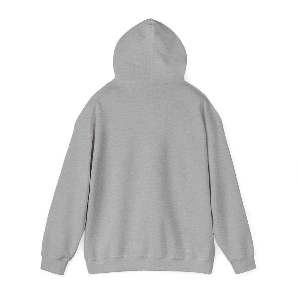 One Team One Brasil Hoodie | country pride, retro soccer
