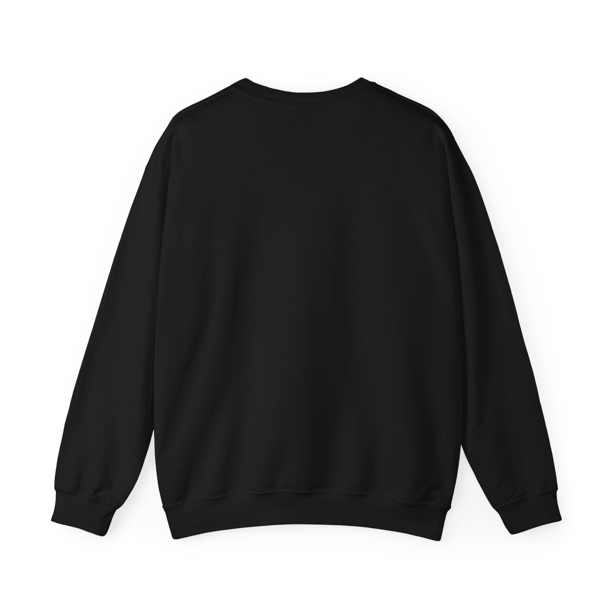 One Team One Brasil Sweatshirt | country pride, retro soccer