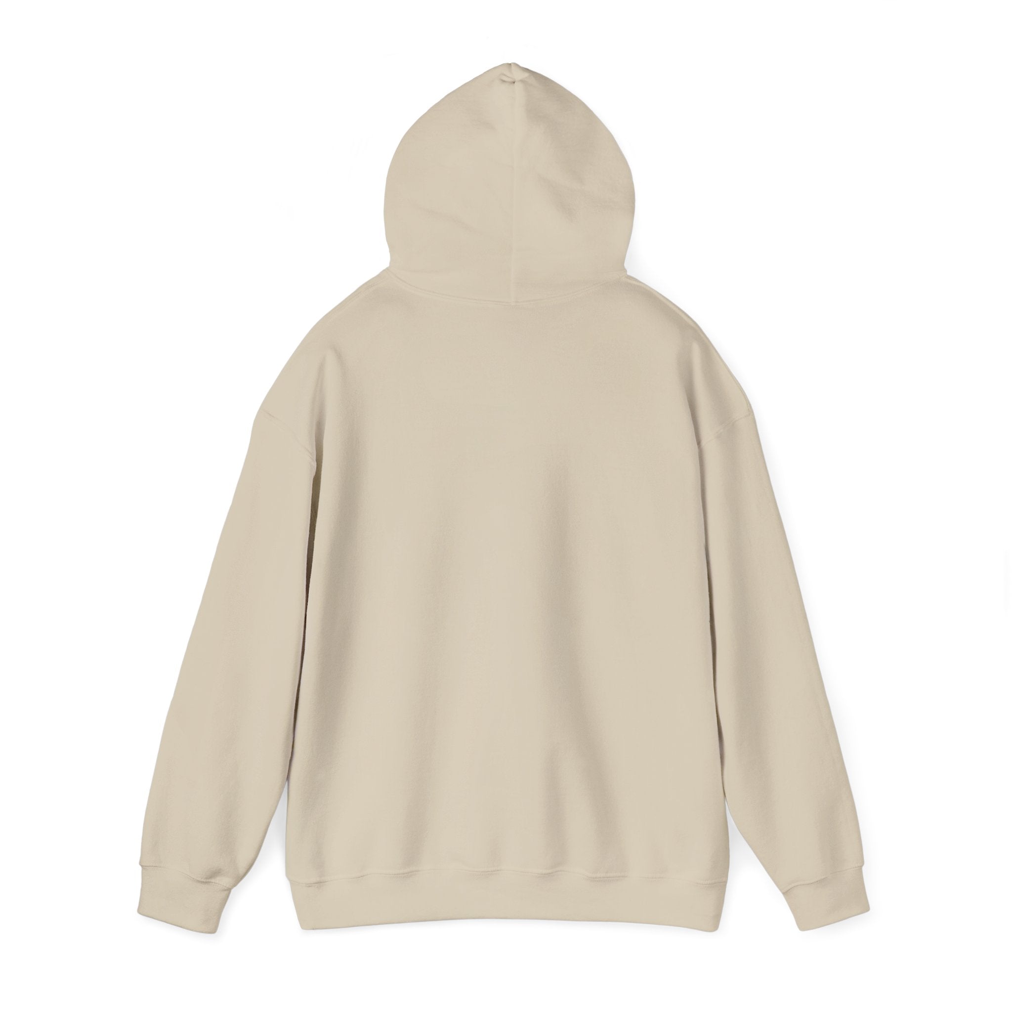One Team One Brasil Hoodie | country pride, retro soccer