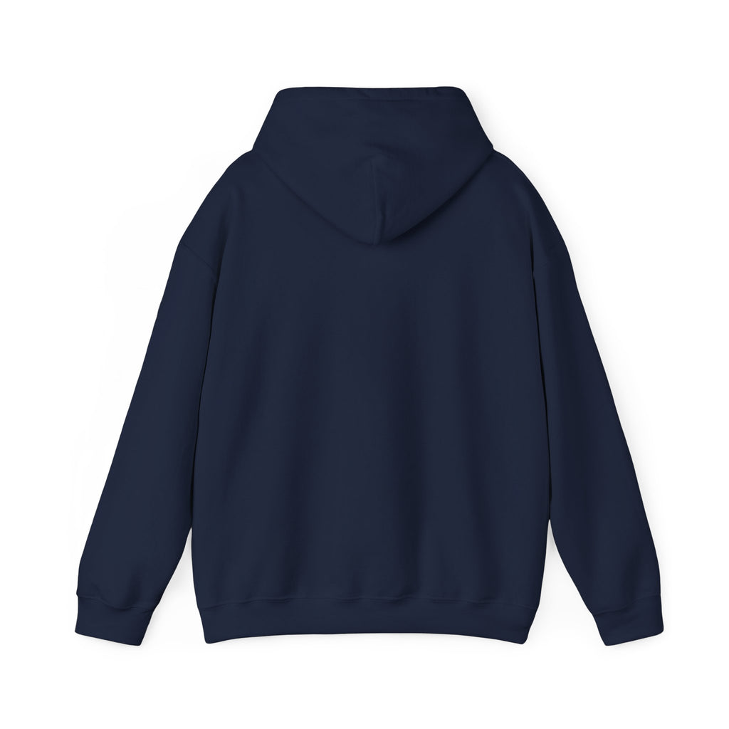 One Team One Brasil Hoodie | country pride, retro soccer
